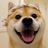 G白昼的头像