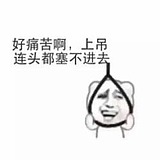 纶羽风的头像