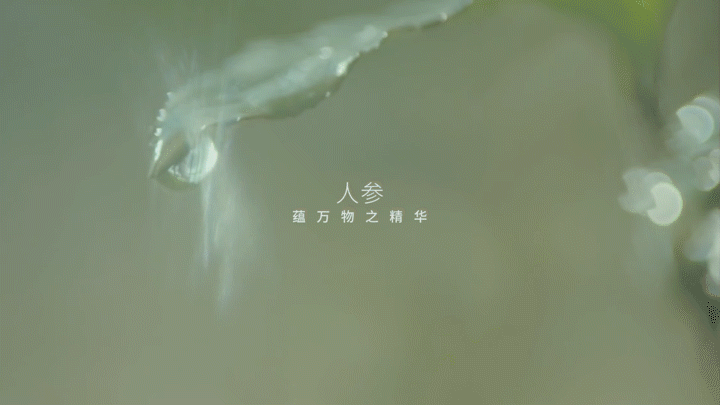 电商摄影 | 敷本·姜约防脱育发液 ✖ baimabrand