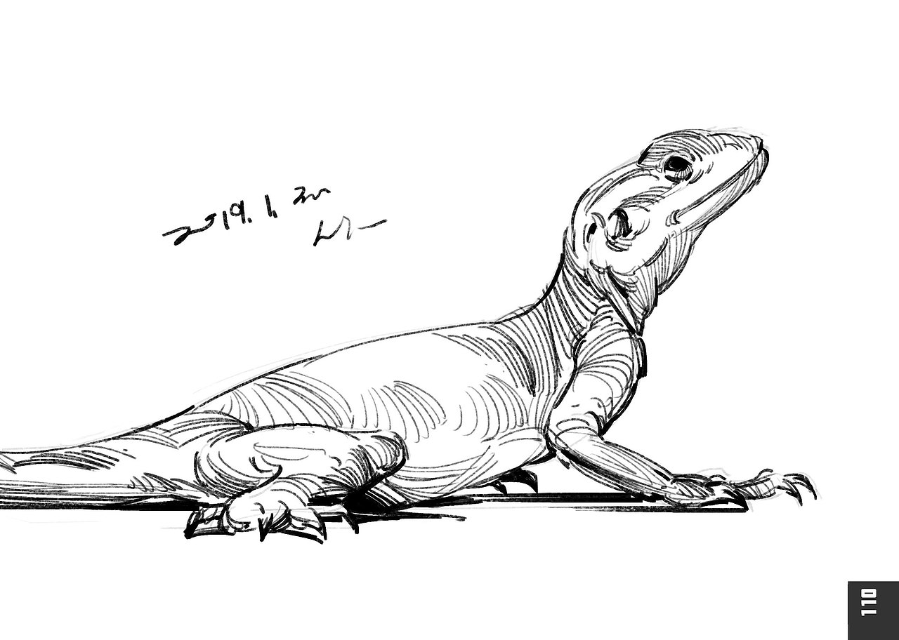 2019速写簿（图ZMTkyODg0OTc2） - 绘画 - 站酷设计师半岛酒徒原创素材 - 站酷ZCOOL