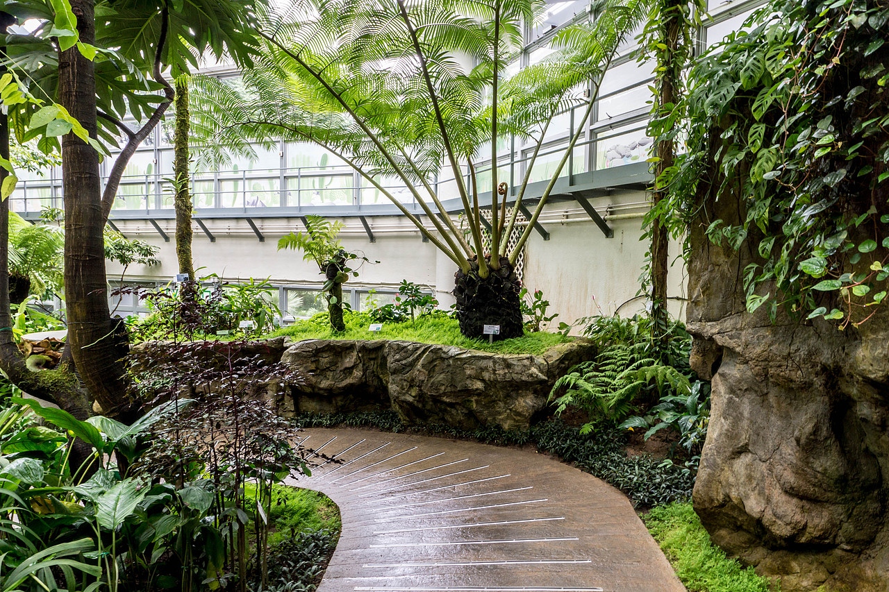 闹市中,有一片动植物的天堂