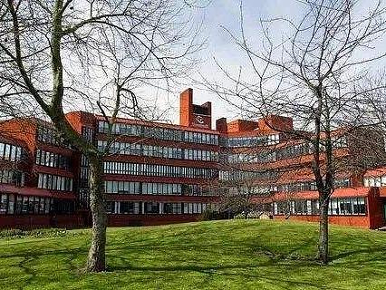 绿洲大学：周杰伦、林俊杰都在追捧的NFT到底是什么