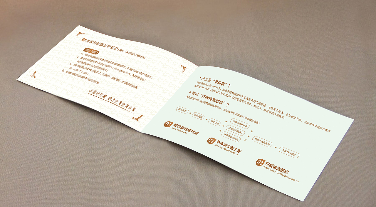 孕妇检测 优惠券优惠折页优惠卡代金券 最终版本专项补助基金（图ZMjM3MTUyOTI=） - 宣传物料 - 站酷设计师费大微原创素材 - 站酷ZCOOL