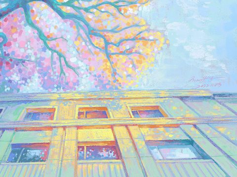 剩下一点点的夕阳🔆