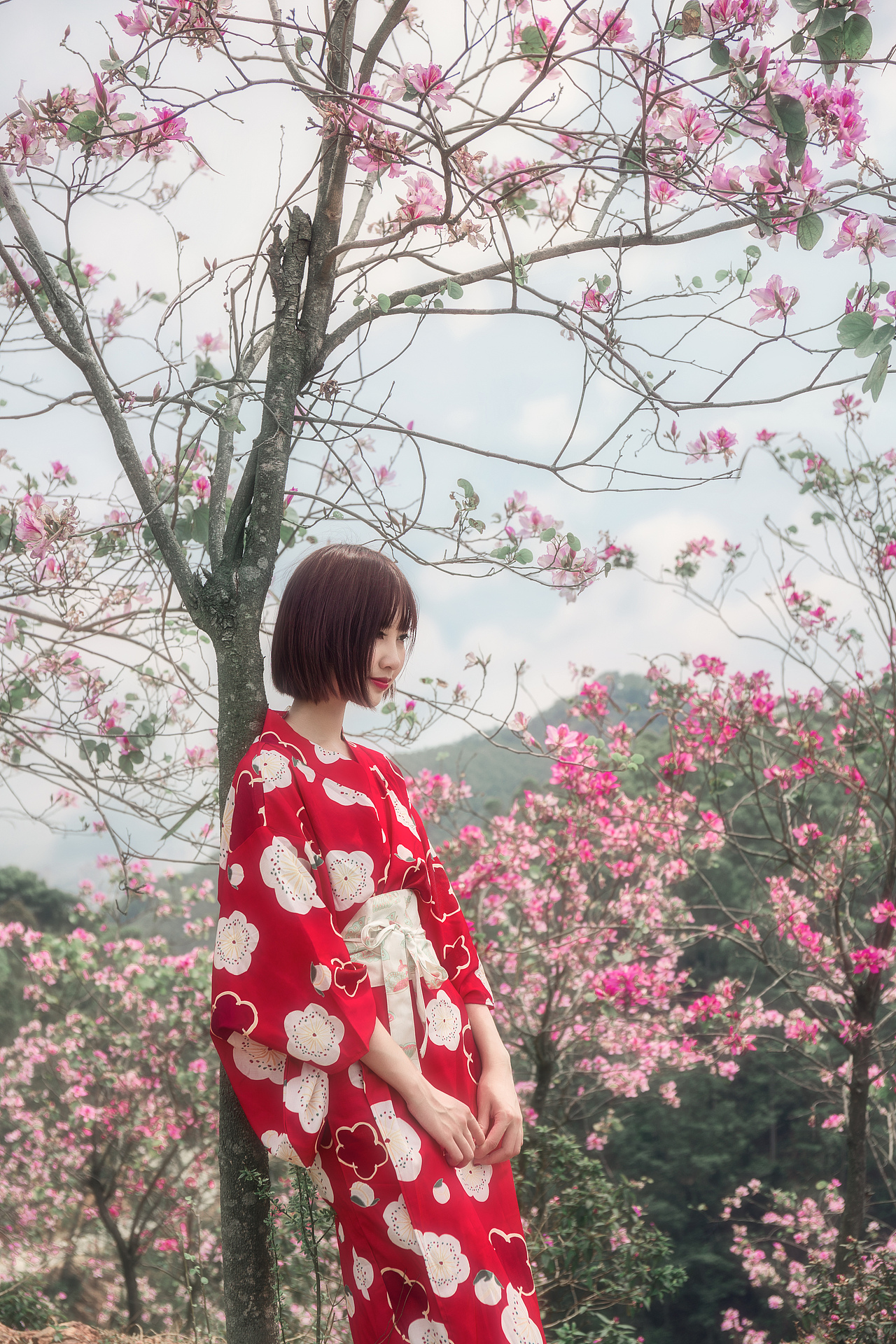 唯美柔和紫荆花人像