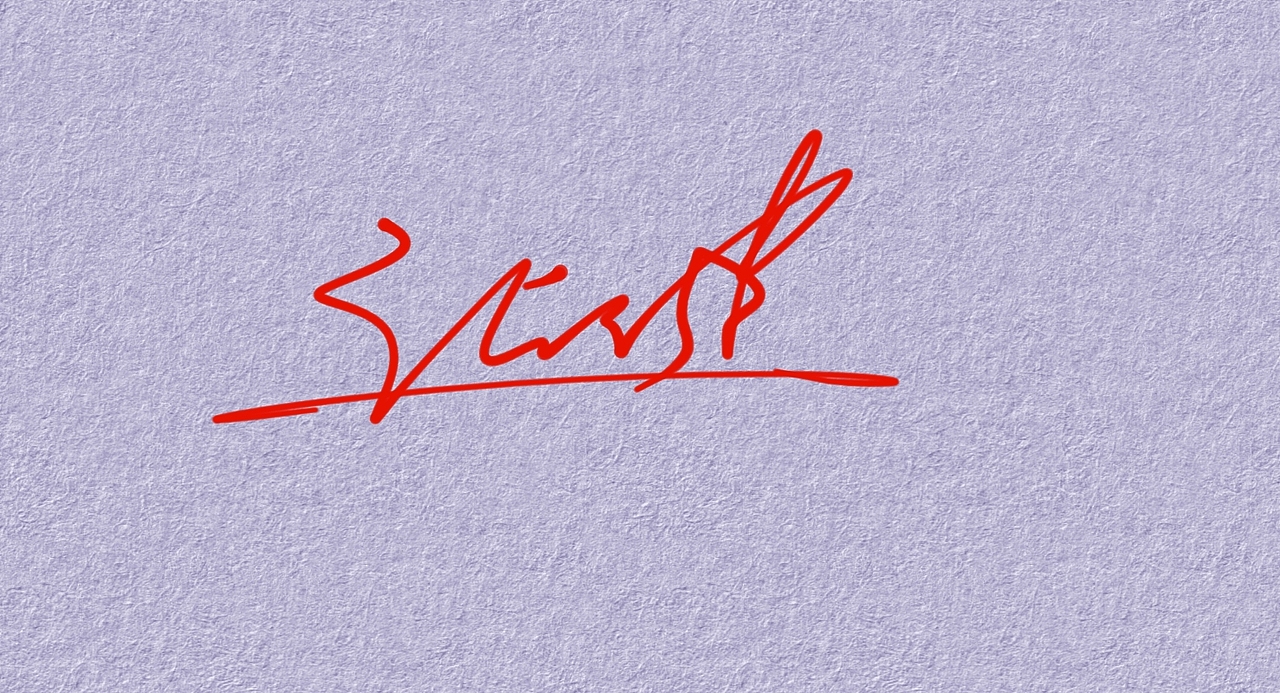 张健的签名一款丨艺术签名丨签名设计丨签名怎么写好看