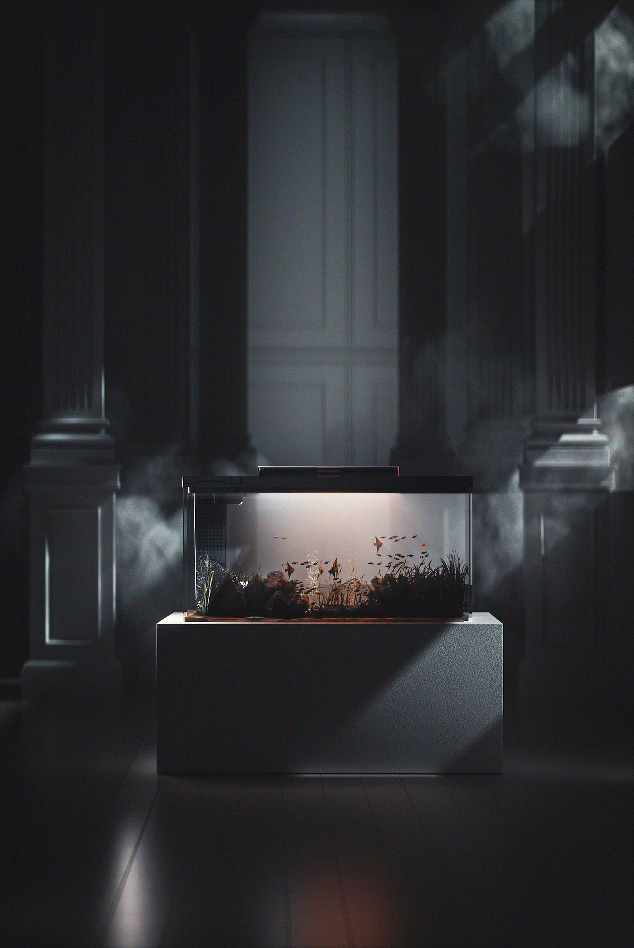 2020个人+商业作品 年终总结