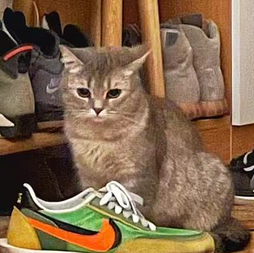 一只幽怨小猫咪插画