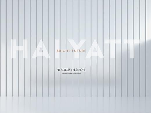 轻奢项目提案稿