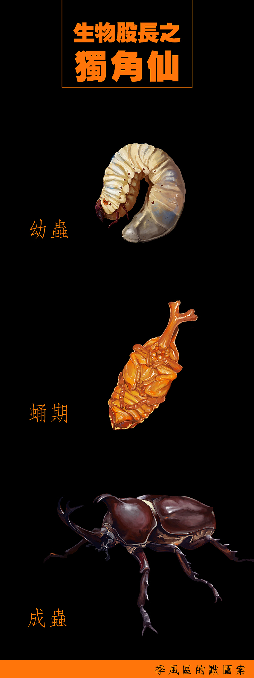 生物股长之独角仙（图ZNzI0NTUxMg==） - 商业插画 - 站酷设计师季风区原创素材 - 站酷ZCOOL