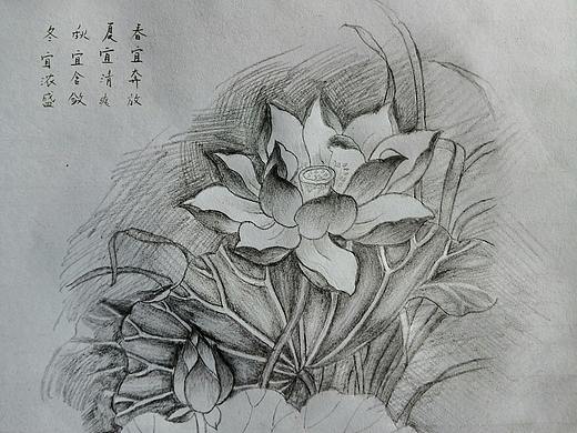 莲花手绘（个人主页-ZNDcwODc4NjQ=） - 绘画 - 站酷设计师云天漫步原创素材 - 站酷ZCOOL