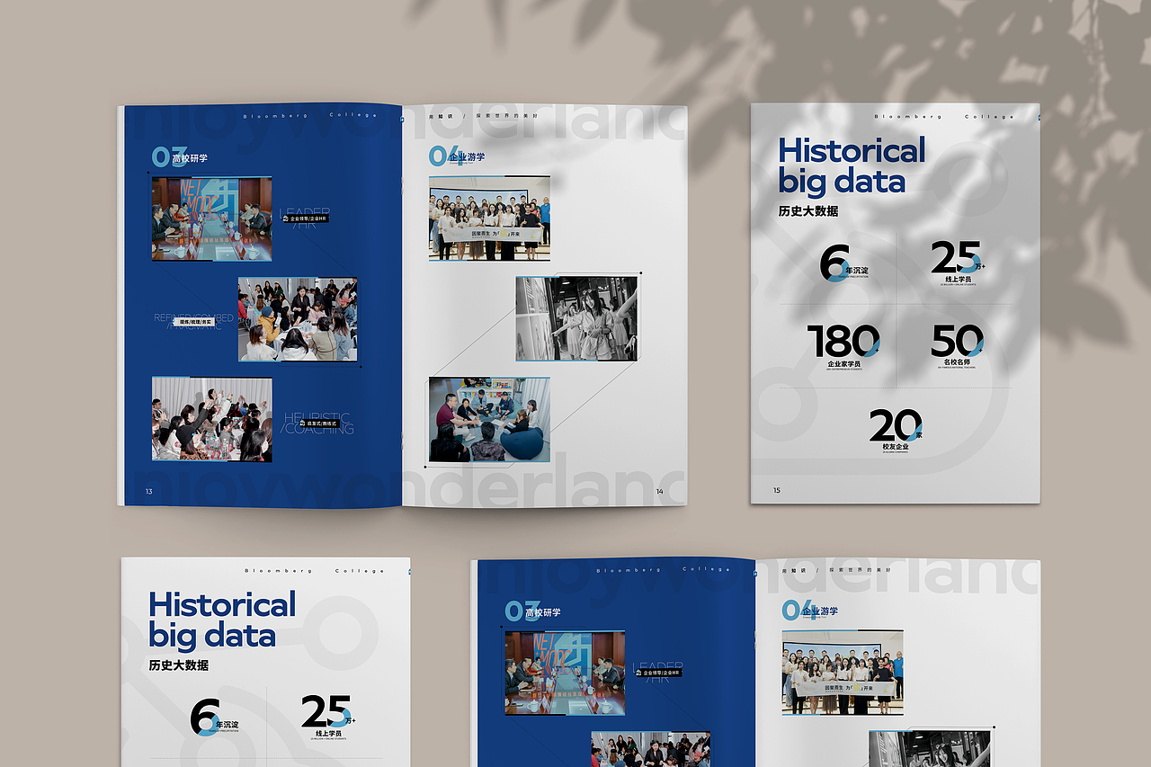 彭博院 ▶ 产品画册