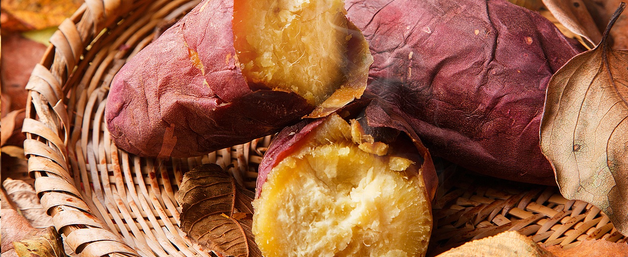 亚马逊煮蛋器listing