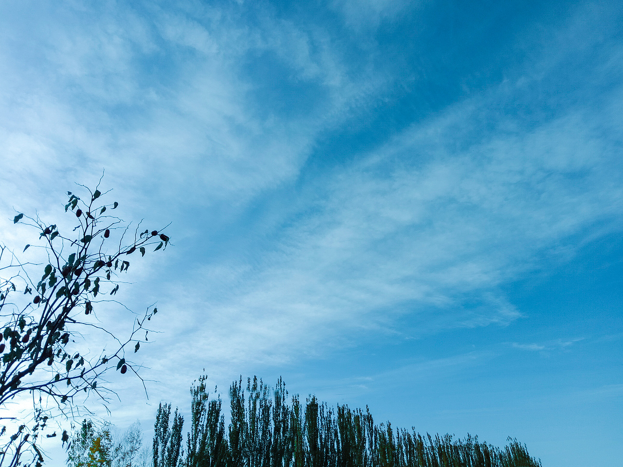 天空非常蓝 看起来很舒服