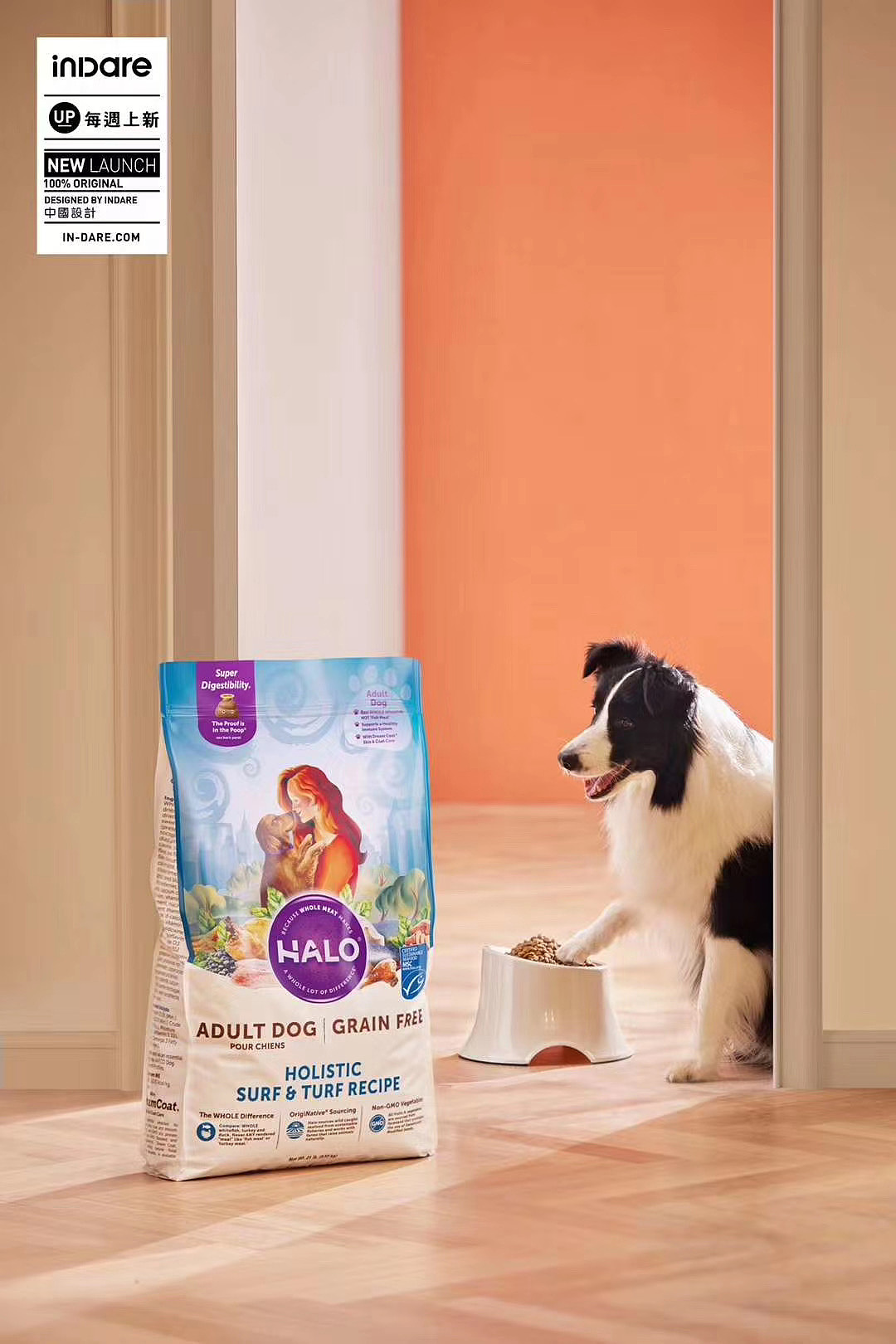 HALO x inDare | 品牌战略与营销传播