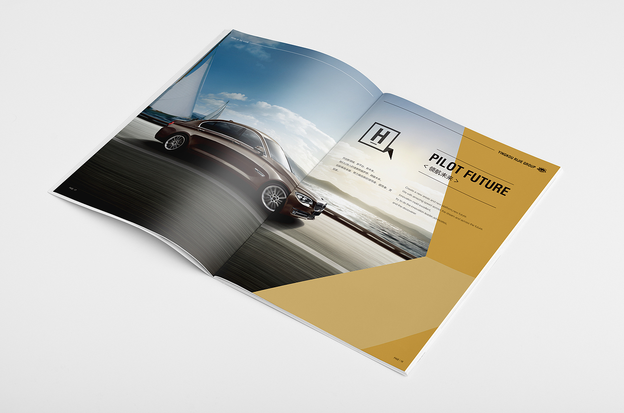 2017年做的汽车隔板相关画册