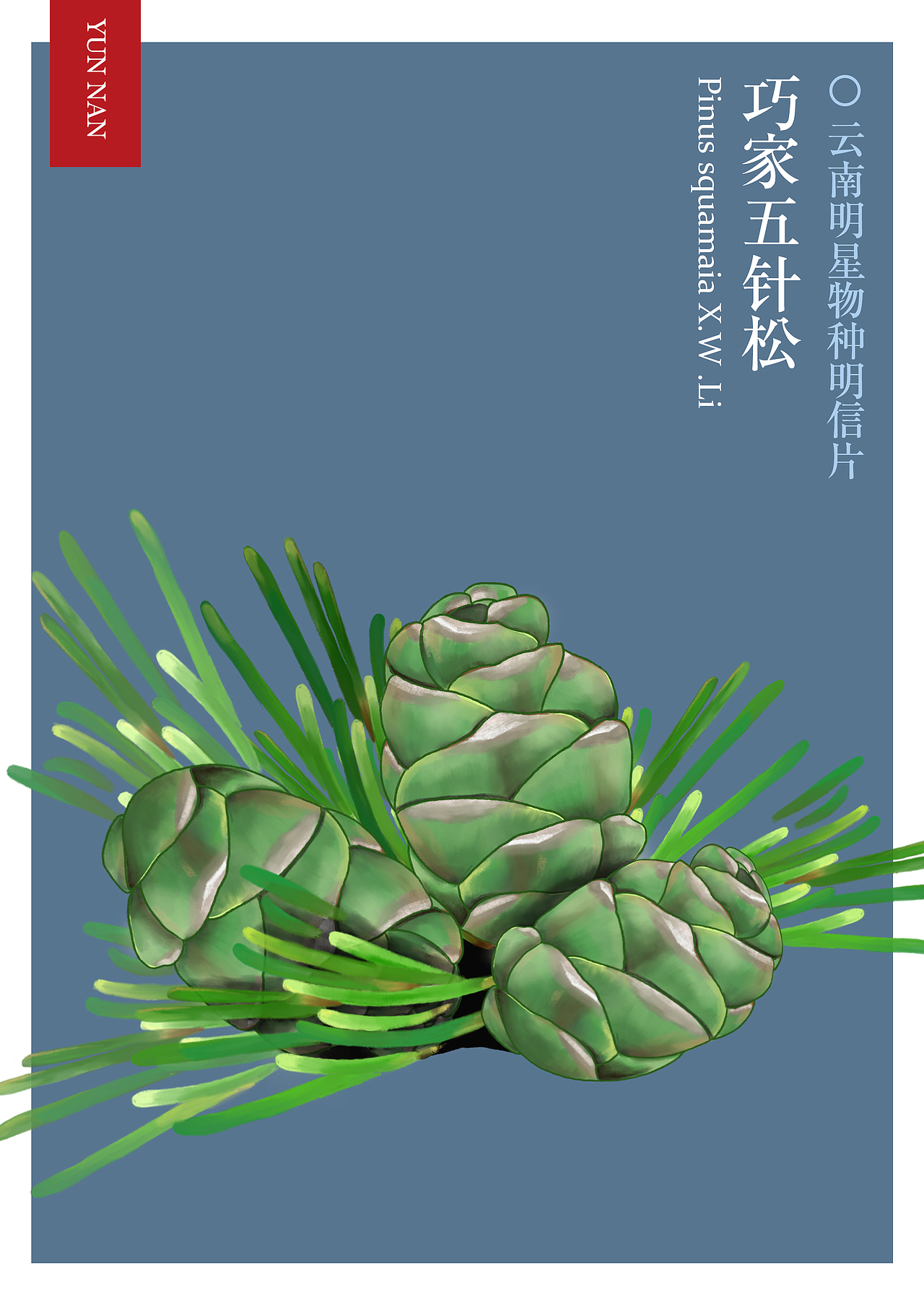 神奇动物在哪里（图ZMjczODA2ODI4） - 商业插画 - 站酷设计师沙子什么的原创素材 - 站酷ZCOOL