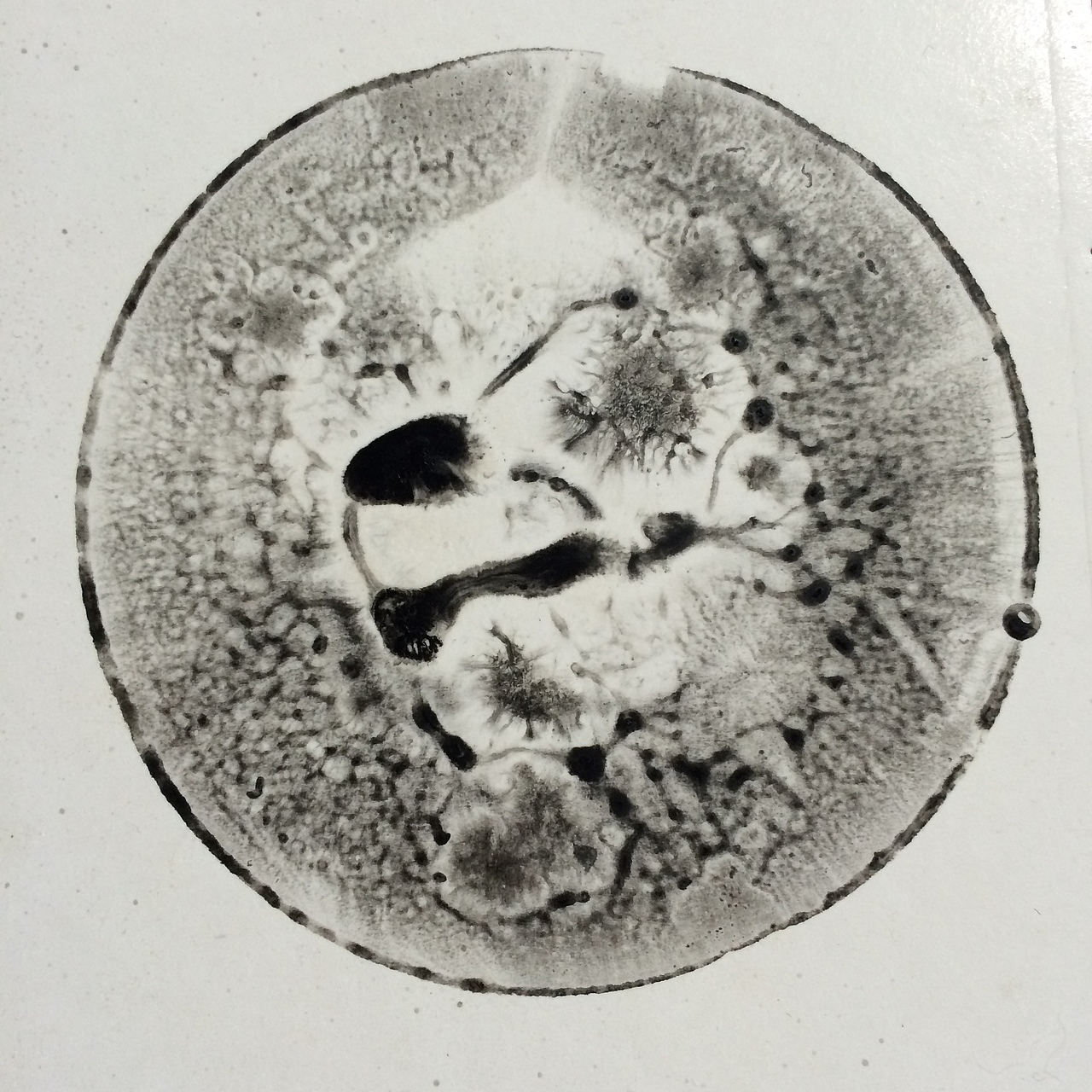 bubble 2（圖ZMjE1MzE4NzY=） - 繪畫 - 站酷設(shè)計(jì)師ljwclown原創(chuàng)素材 - 站酷ZCOOL