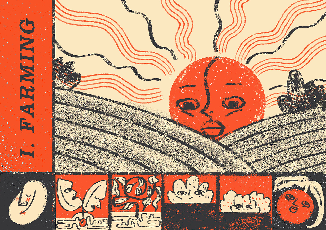 咖啡——从种子到杯子