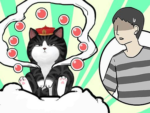 我这么有才，是命运的安排吗？不！是猫的安排。
