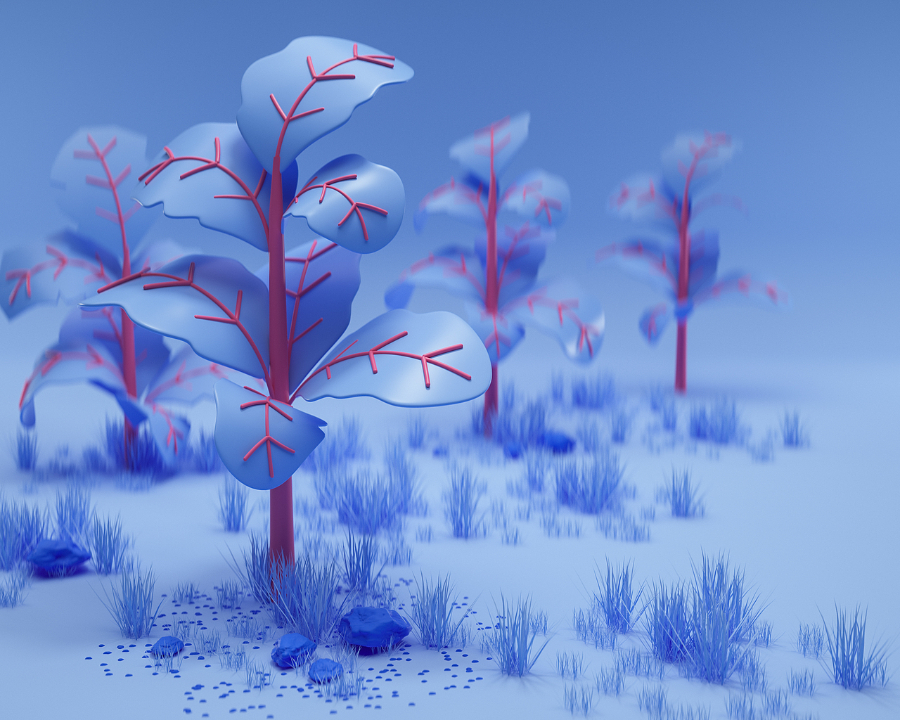 Colorful Nature Explorations