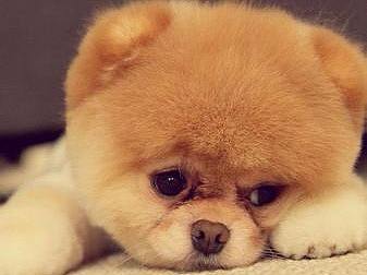 手机主题（个人主页-ZMjU4MzE1MjA=） - 主题/皮肤 - 站酷设计师且听风吟Dan原创素材 - 站酷ZCOOL