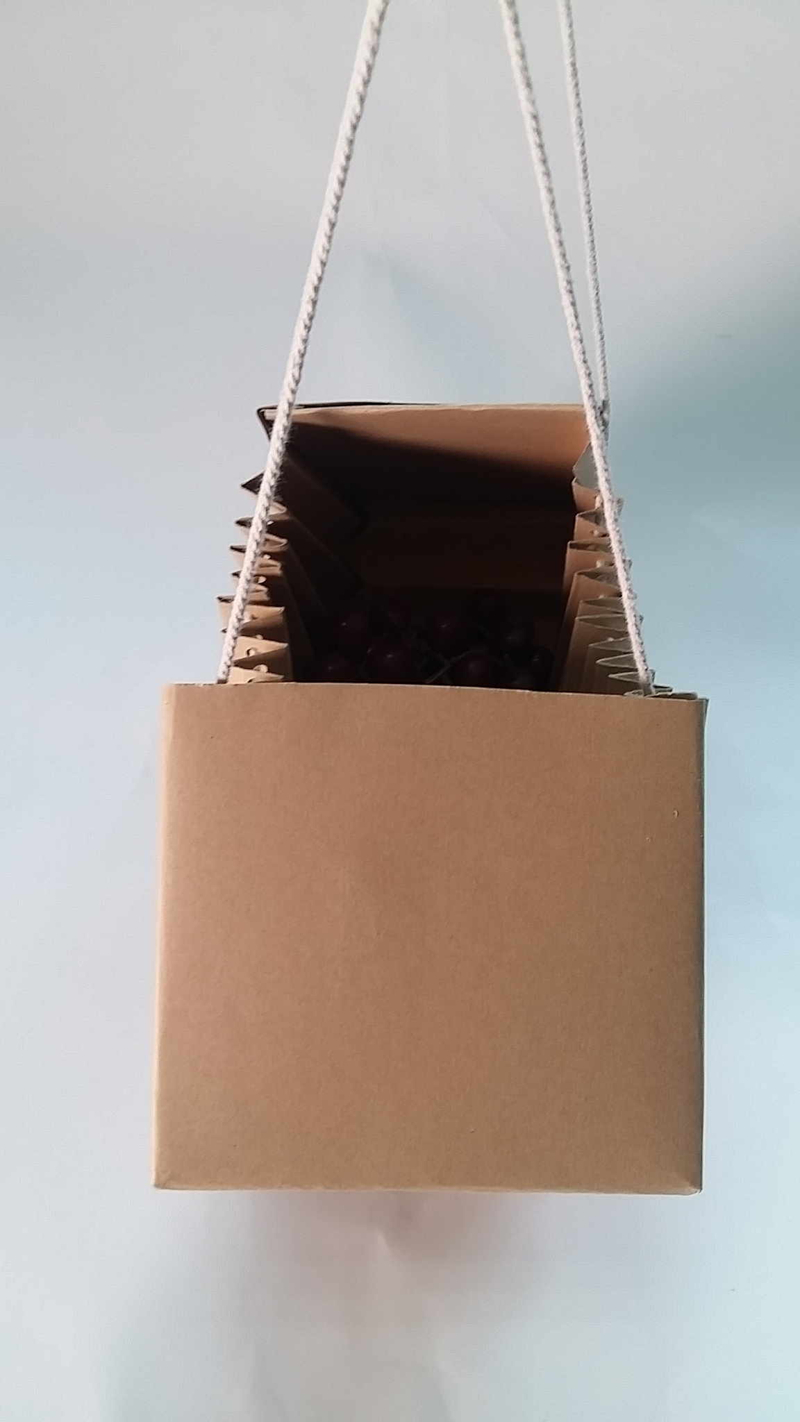 【包装】风琴收纳包设计（图ZMTUyODgwOTcy） - 包装 - 站酷设计师yangho原创素材 - 站酷ZCOOL