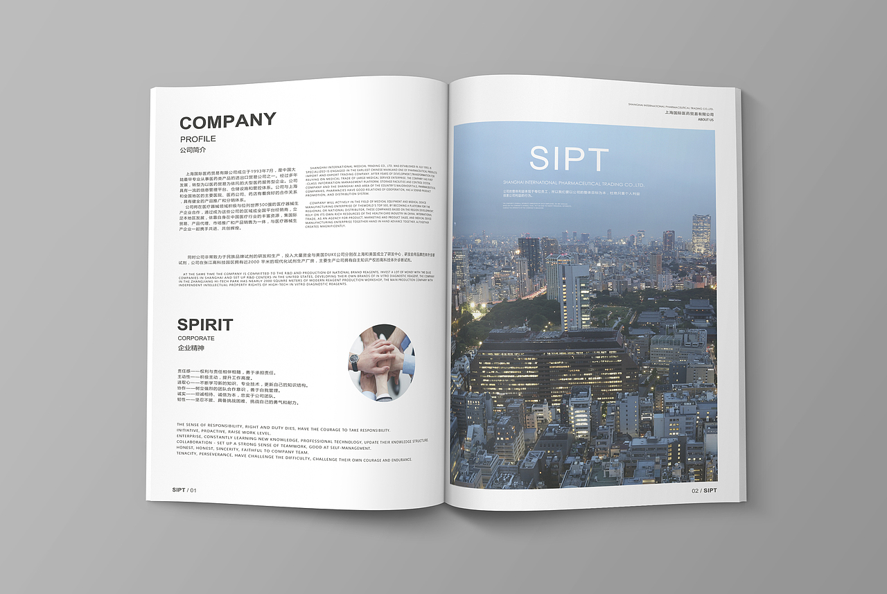 医药公司宣传册（完成版） 排版 企业画册 产品目录 DM CATALOG 简约 效果图（图ZNDU1MTcxNjQ=） - 宣传物料 - 站酷设计师shinobi44原创素材 - 站酷ZCOOL