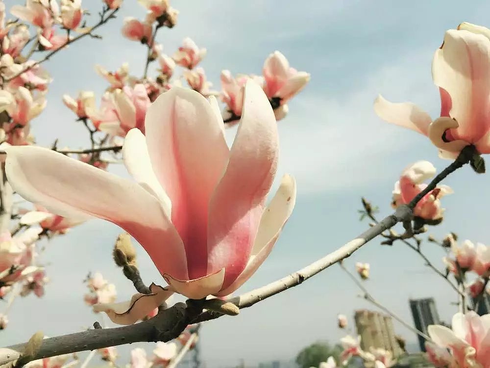 摄影（图ZNzYyNDEzNjg=） - 风光摄影 - 站酷设计师consider虫原创素材 - 站酷ZCOOL