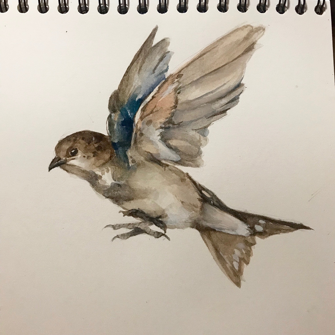 最近的一些手绘练习~