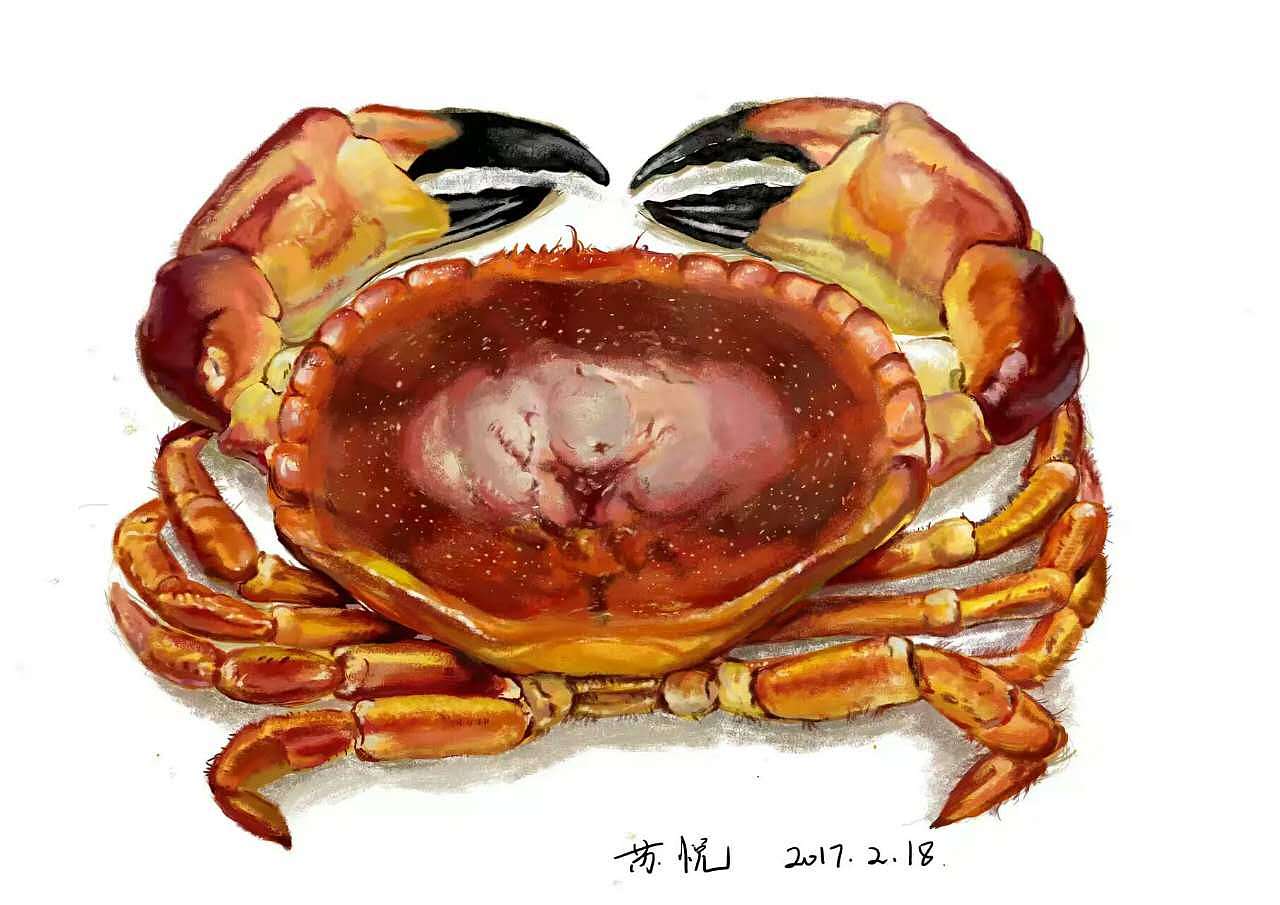 卡通螃蟹矢量图__图片素材_其他_矢量图库_昵图网nipic.com