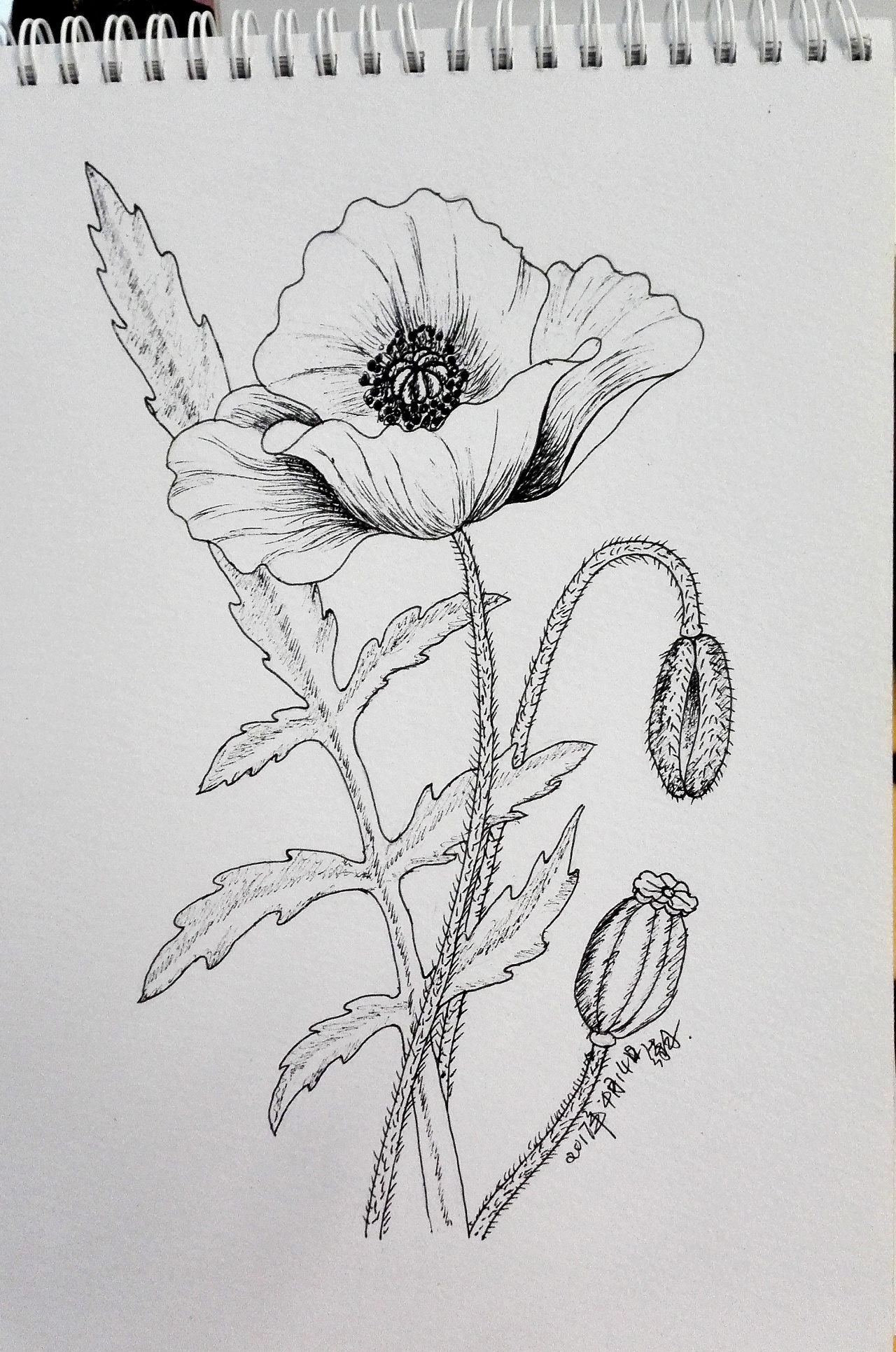 手绘线条练习 - 原创作品 - 站酷(zcool)