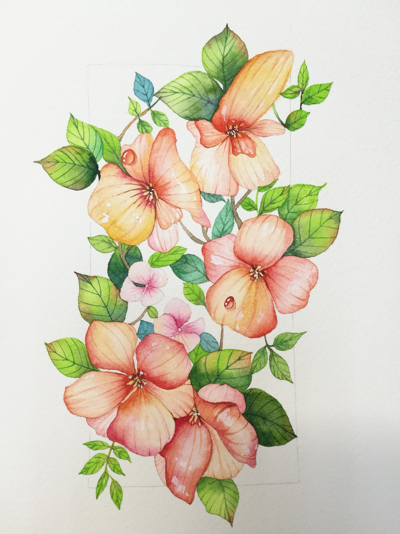 水彩画花（图ZOTM1MDg1ODA=） - 创作习作 - 站酷设计师ArleneC原创素材 - 站酷ZCOOL