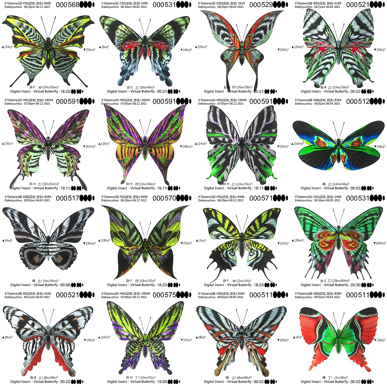 用互联之网捕捉虚拟蝴蝶