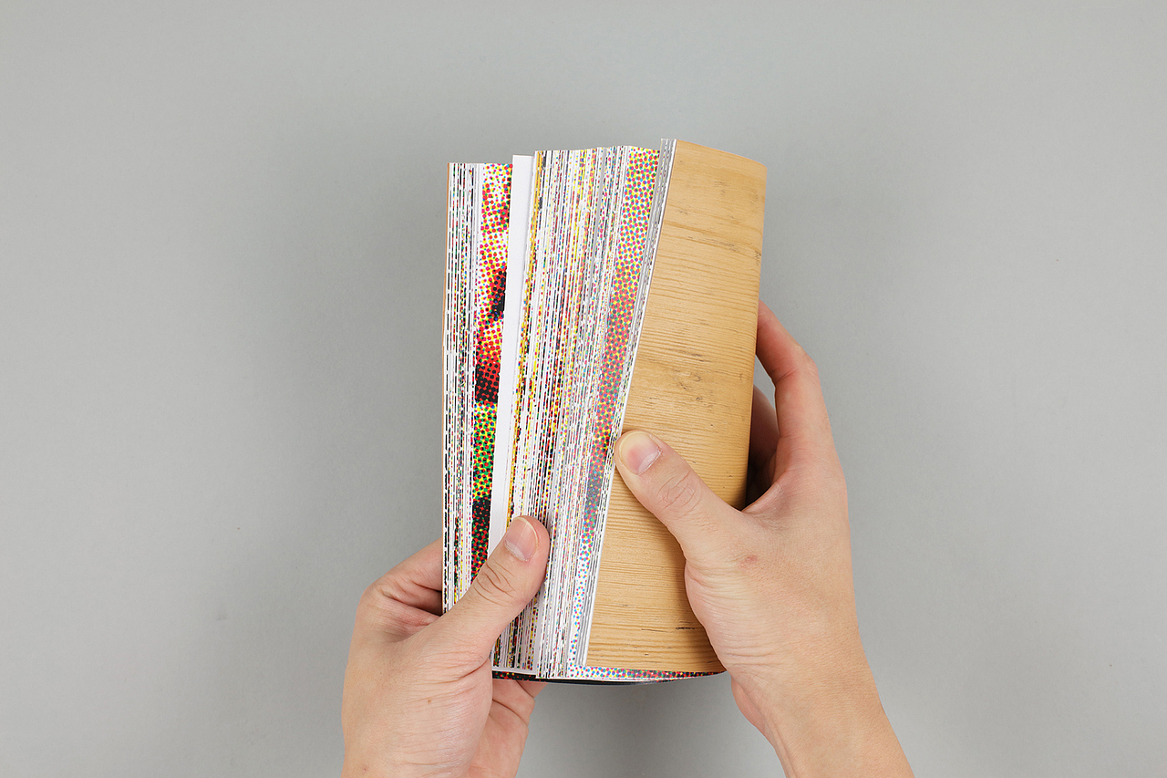 Desk Lunch Proposal 书籍设计