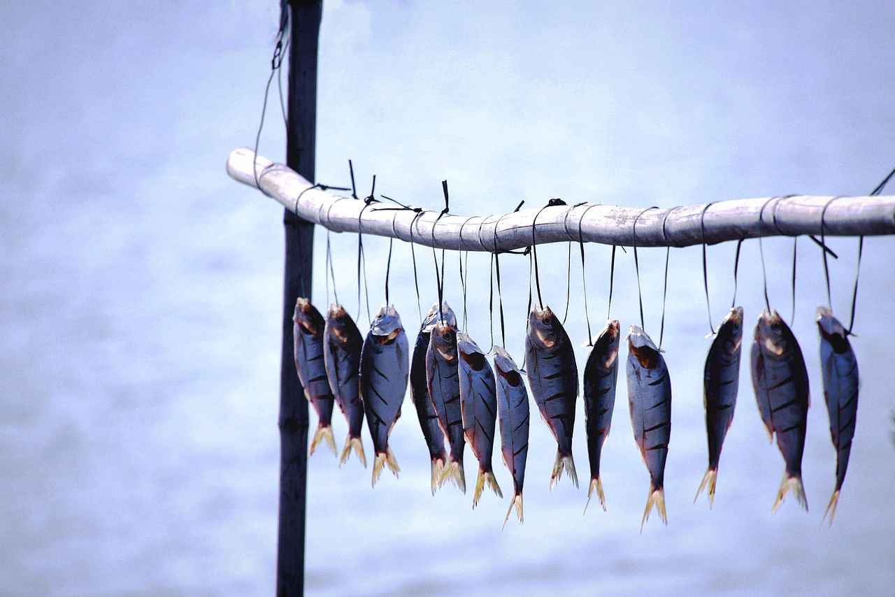 广州大刀沙村之事物篇 Vol.1