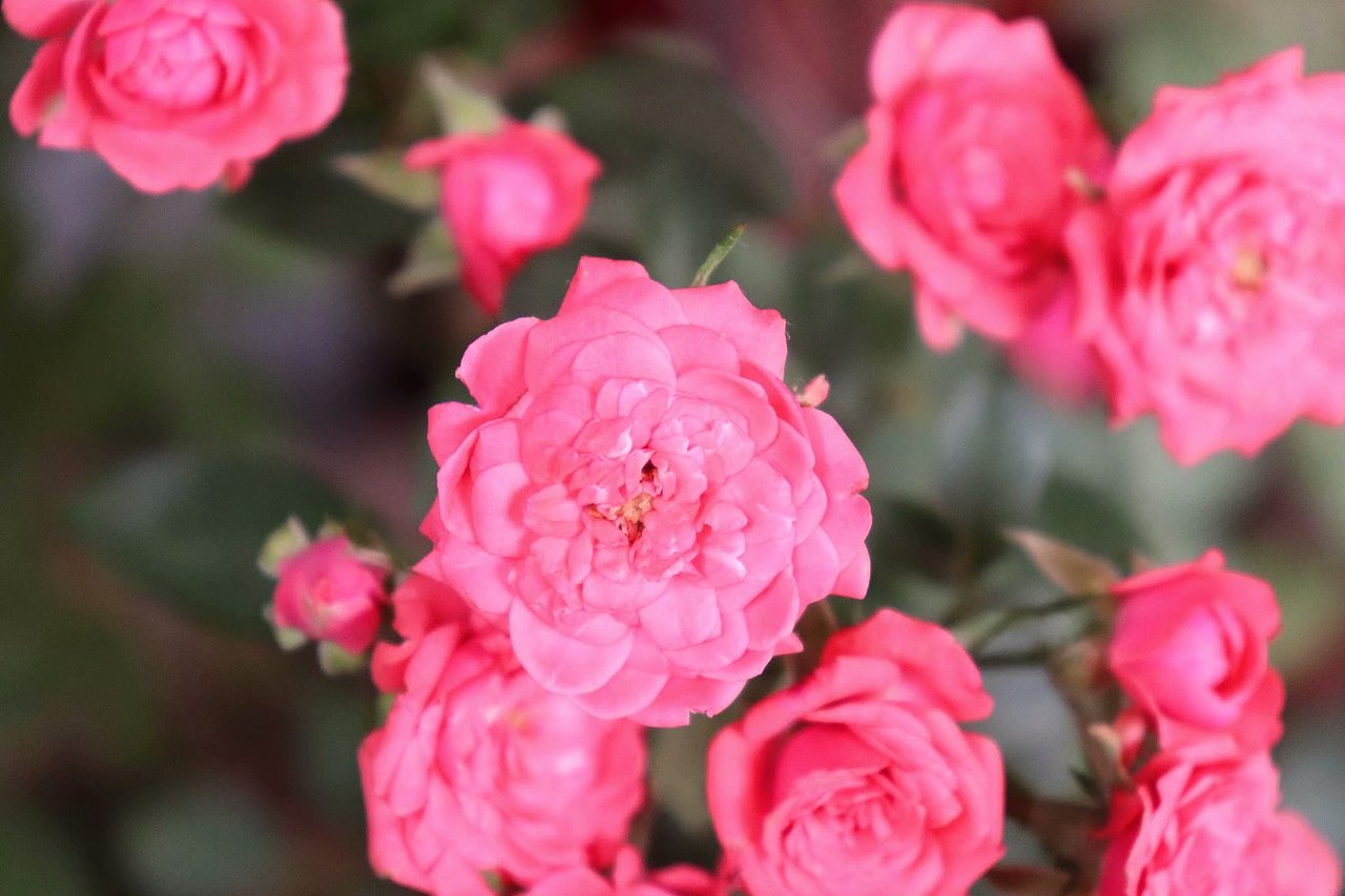 随手拍的风光（图ZMTgyMjE1NTg4） - 产品摄影 - 站酷设计师弗如Ru原创素材 - 站酷ZCOOL