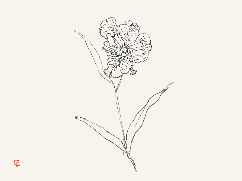 片刻|插画|商业插画|红花honghua - 原创作品 - 站酷 (zcool)