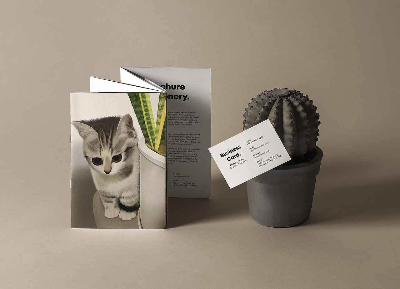 写实风插画-猫、企鹅