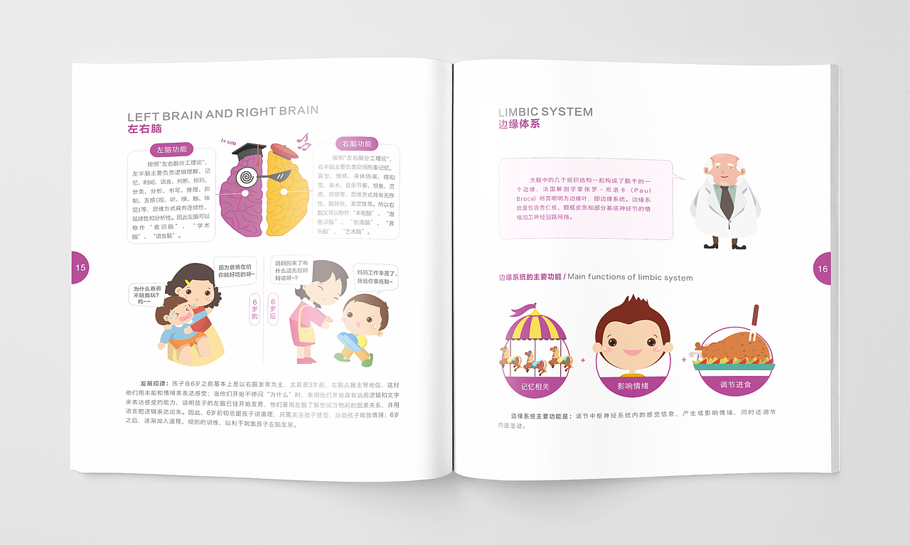 一本有关神奇的大脑的画册设计