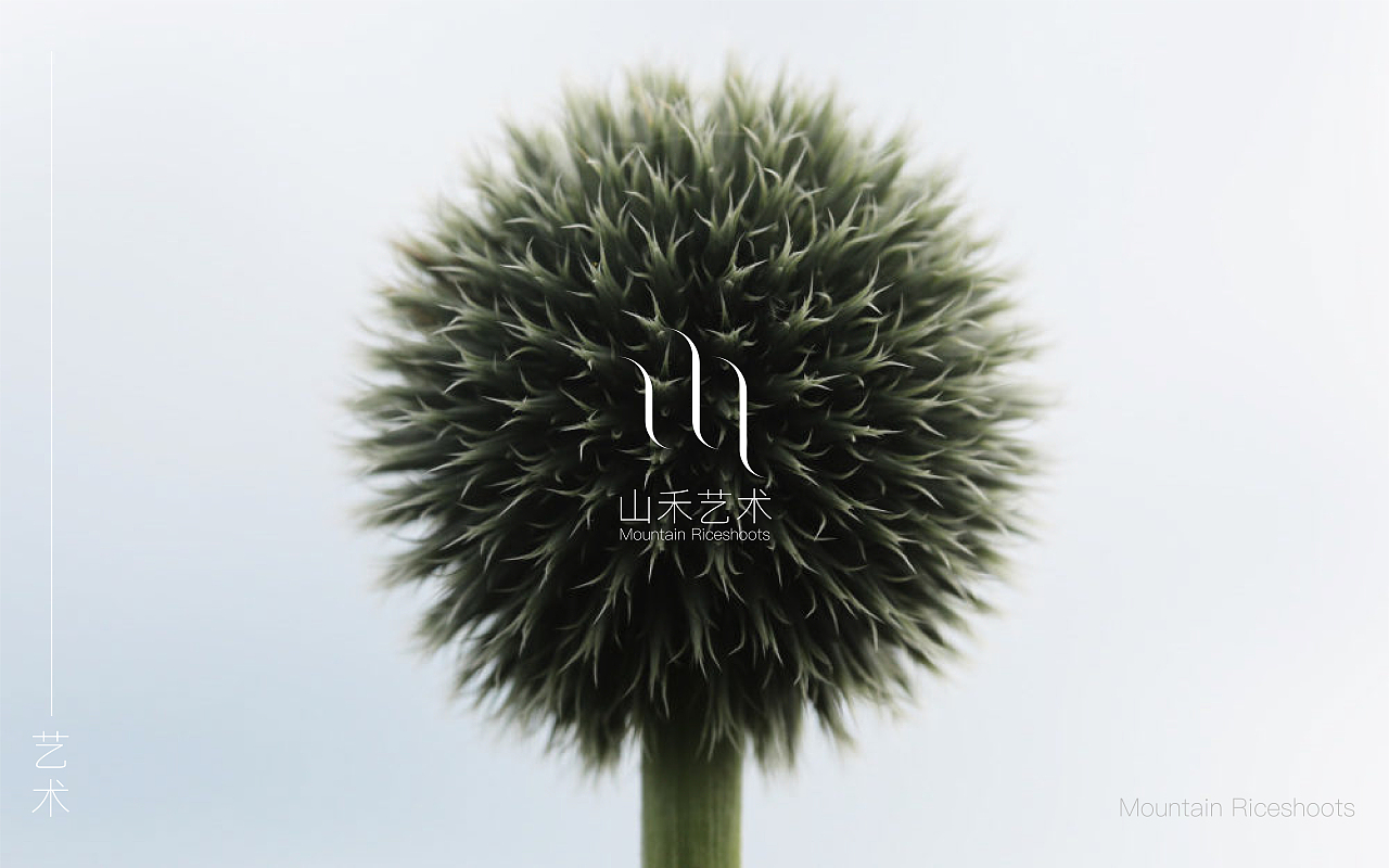 山禾藝術(shù)VI規(guī)范（圖ZMjM4NDM3NDU2） - 品牌 - 站酷設(shè)計(jì)師早起的人兒有鳥吃原創(chuàng)素材 - 站酷ZCOOL