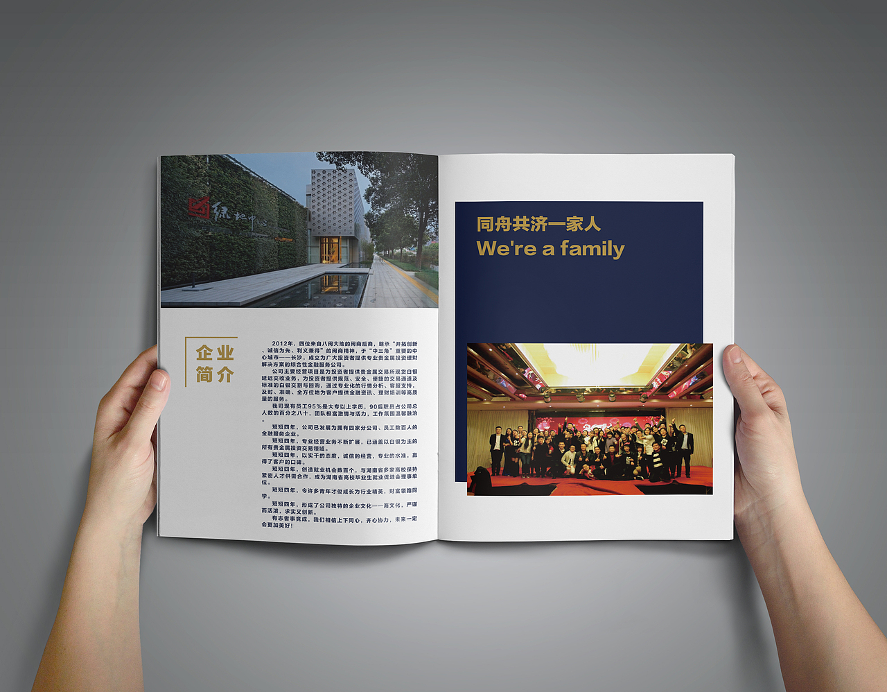 金融公司企业手册/画册