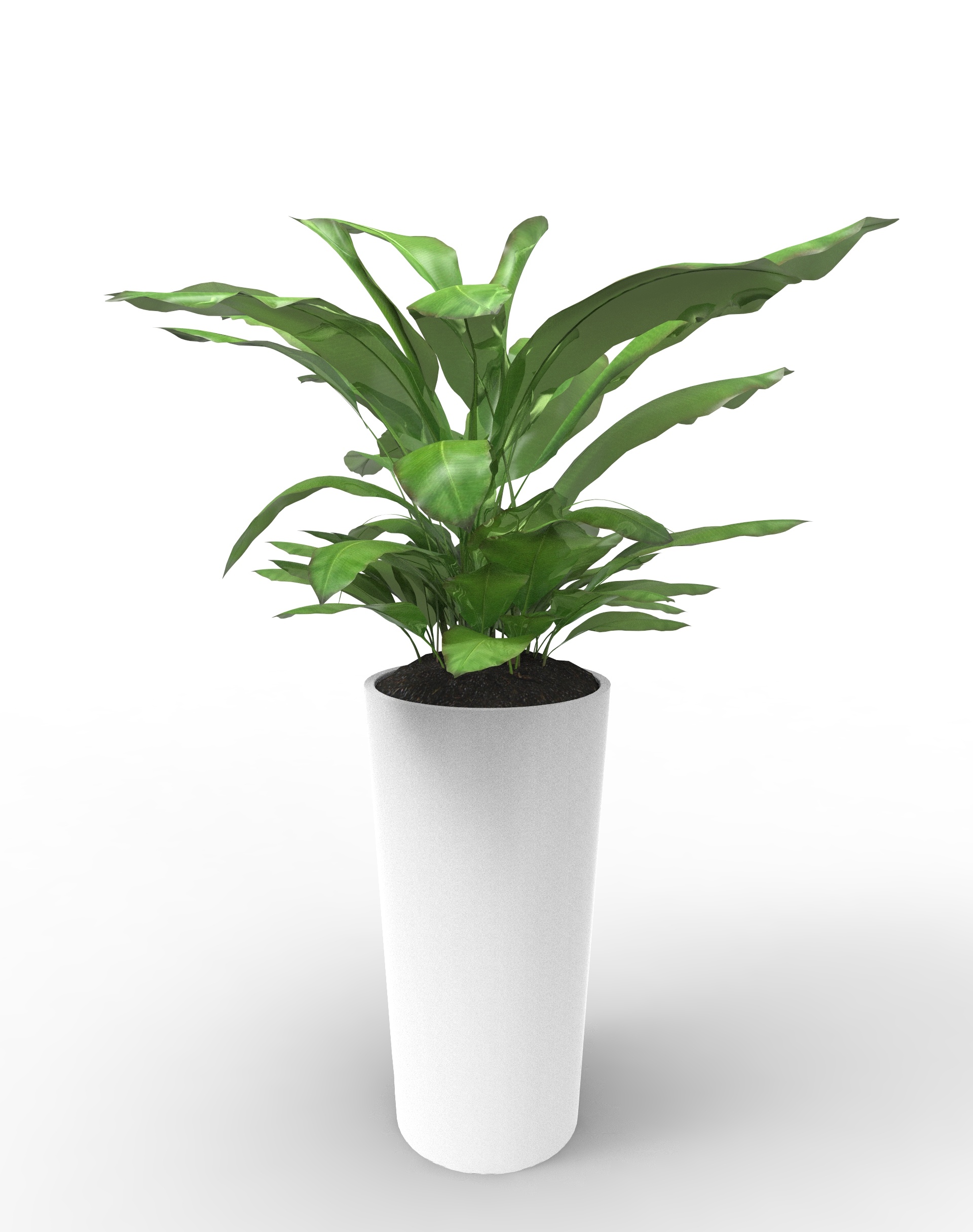 keyshot渲染办公室酒店植物