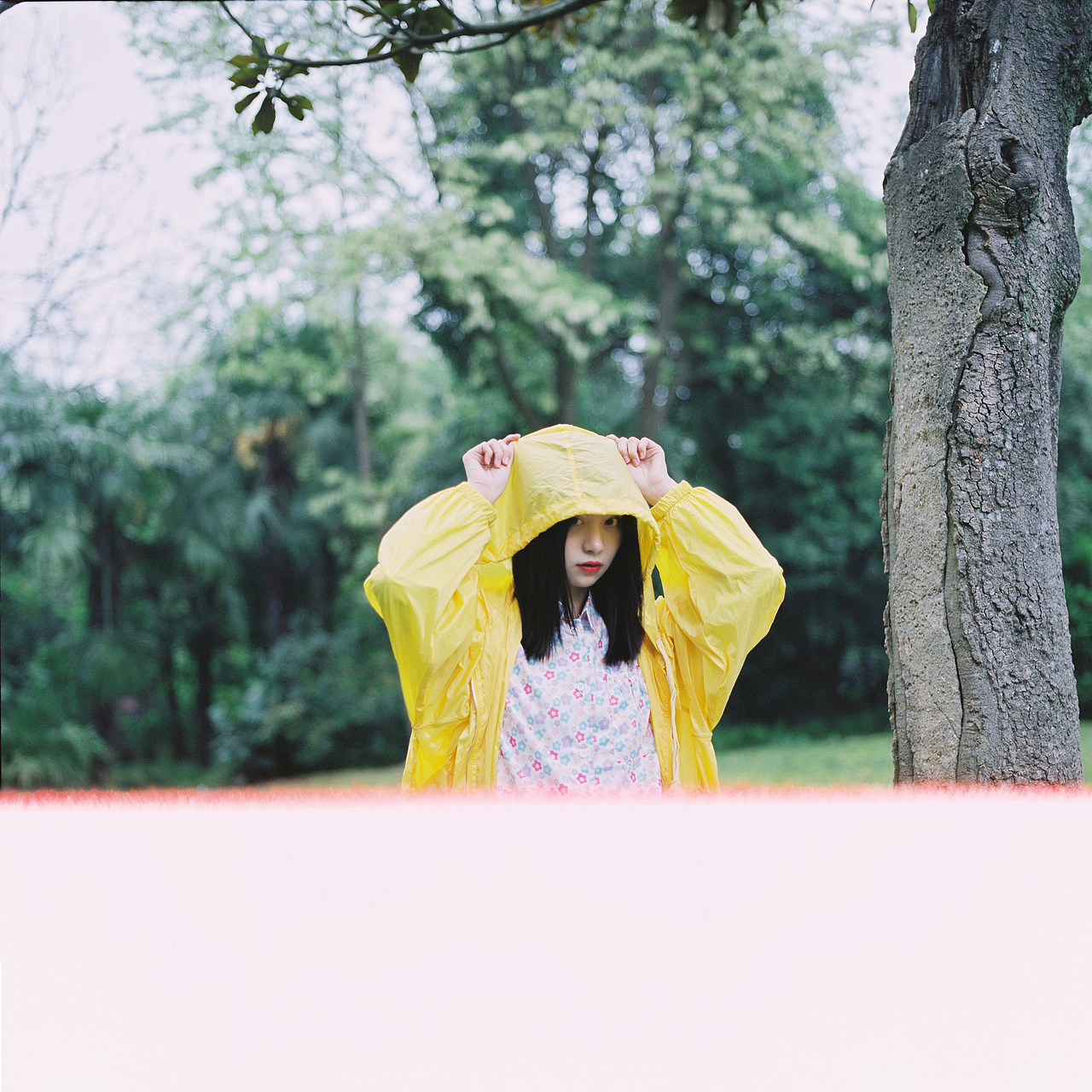 从你的全世界路过（图ZMTU1OTQ5ODk2） - 人像摄影 - 站酷设计师纯洁的蒋老师原创素材 - 站酷ZCOOL