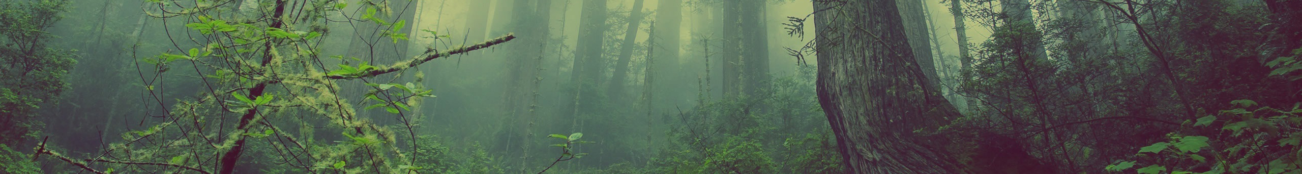 Cowardly_Dln的個人主頁（封面預覽） - 主頁封面設置 - 站酷設計師Cowardly_Dln原創(chuàng)素材 - 站酷ZCOOL