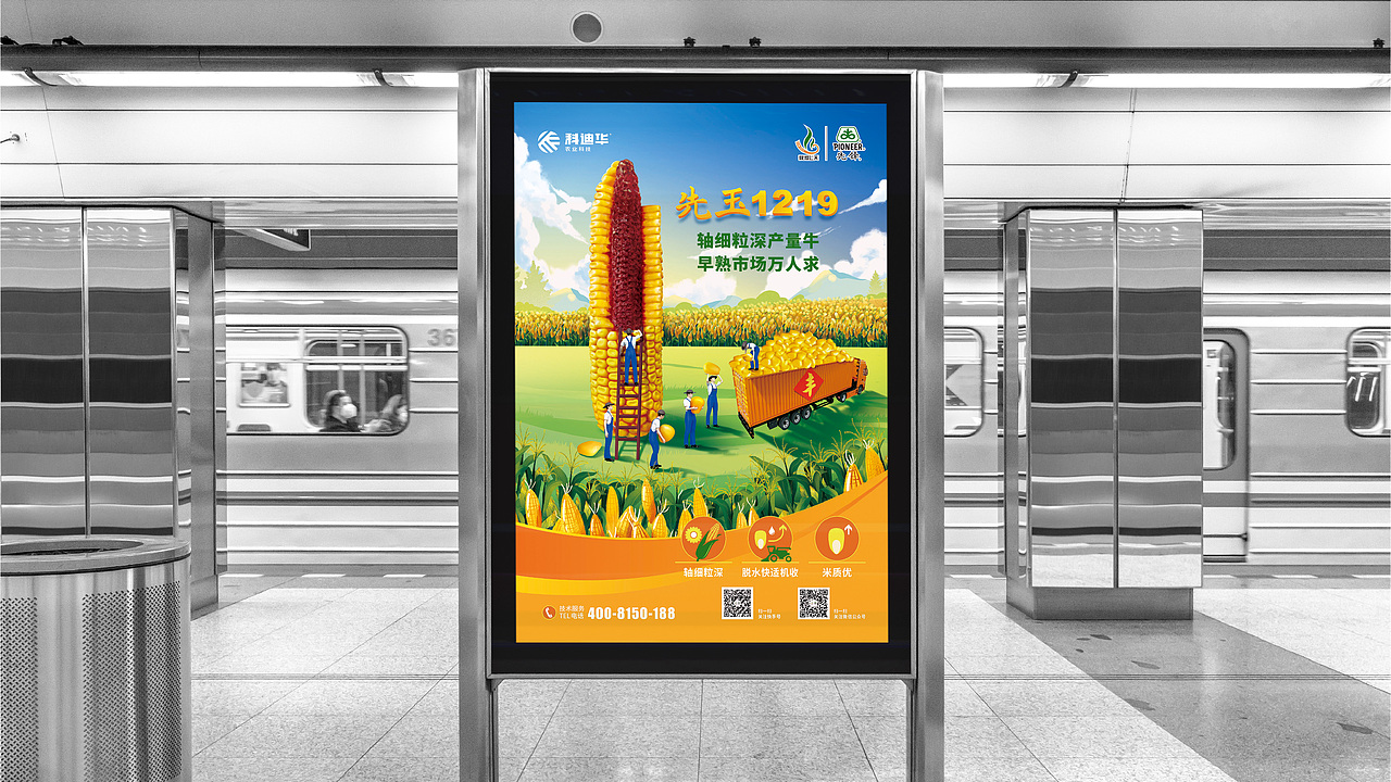 农业\玉米种业\先锋品牌\产品海报设计项目（图ZMzE3MTI2NDIw） - 海报 - 站酷设计师红微原创素材 - 站酷ZCOOL