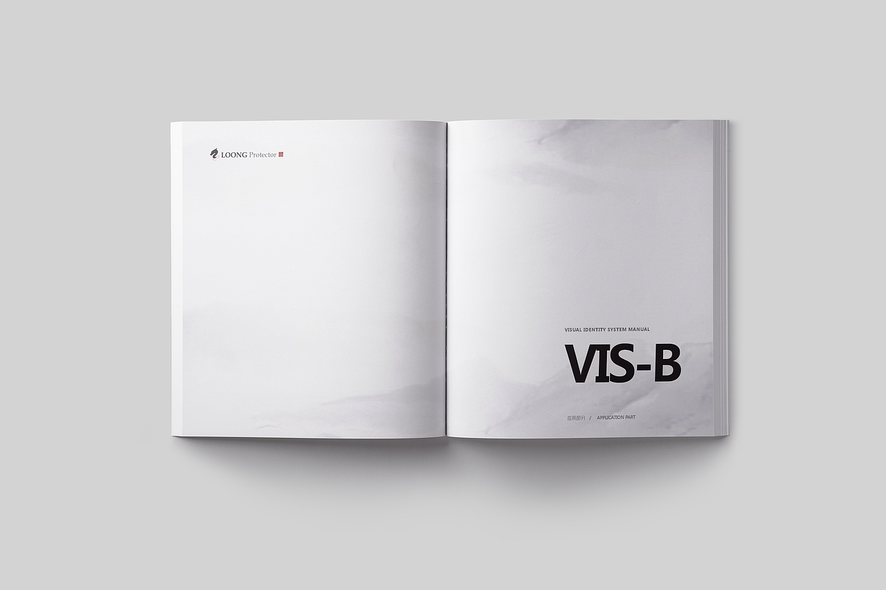 養(yǎng)龍人 丨 vi設(shè)計手冊 丨 期末作業(yè)（圖ZMTU2NzA2NTg4） - 書籍/畫冊 - 站酷設(shè)計師JMW001原創(chuàng)素材 - 站酷ZCOOL