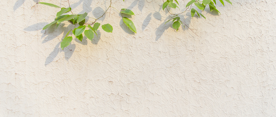 June六月橙的个人主页（背景预览） - 主页背景设置 - 站酷设计师June六月橙原创素材 - 站酷ZCOOL