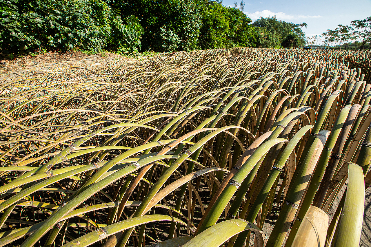 地景藝術《風的季節》（图ZMjQyNTc3MjE2） - 实验艺术 - 站酷设计师林靖格原创素材 - 站酷ZCOOL