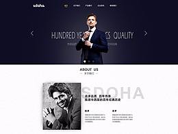 企业官网视觉稿